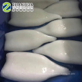 Embalaje tratado químico de la UE del color blanco del tubo U10 U7 U5 del calamar limpiado congelado